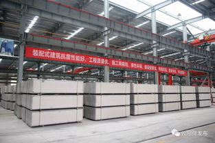 大工程丨云陽(yáng)這個(gè)企業(yè)讓 綠色工藝 引領(lǐng)現(xiàn)代住宅發(fā)展新方向